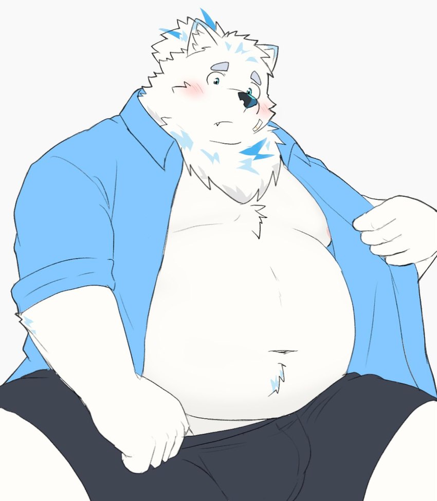 anthro belly blush bottomwear bulge clothed clothing fur hair male moobs navel nipples open_clothing open_shirt open_topwear overweight ponytail shirt shorts solo topwear white_body white_fur nikukyu299paw lifewonders live_a_hero yohack canid canine canis domestic_dog mammal nordic_sled_dog samoyed spitz hi_res