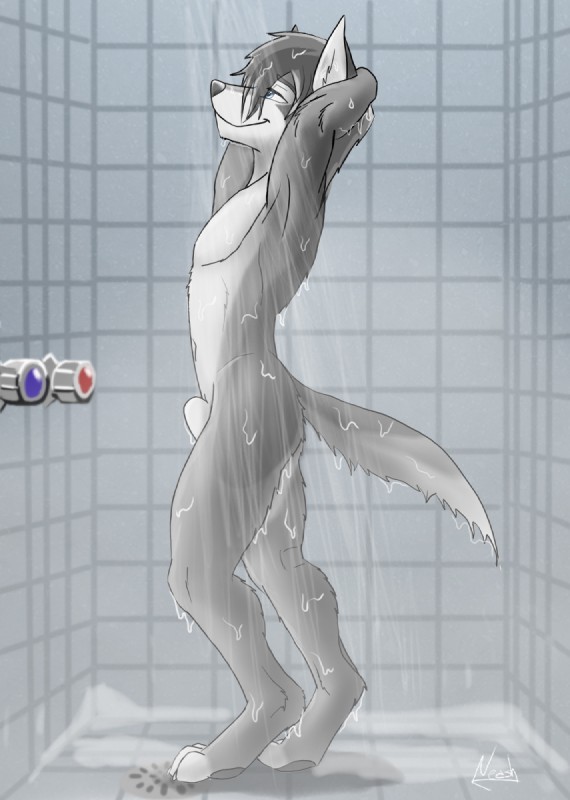 animal_genitalia anthro barefoot bathing biped blue_eyes casual_nudity cleaning digitigrade drain feet floor fluid_tap fully_sheathed fur genitals grey_body grey_fur grey_hair grey_nose hair hands_behind_head inside male nude sheath short_hair shower side_view smile solo standing tap tile tile_floor tile_wall toeless_(marking) wall_(structure) water wet white_body white_fur neash canid canine mammal full-length_portrait hi_res portrait