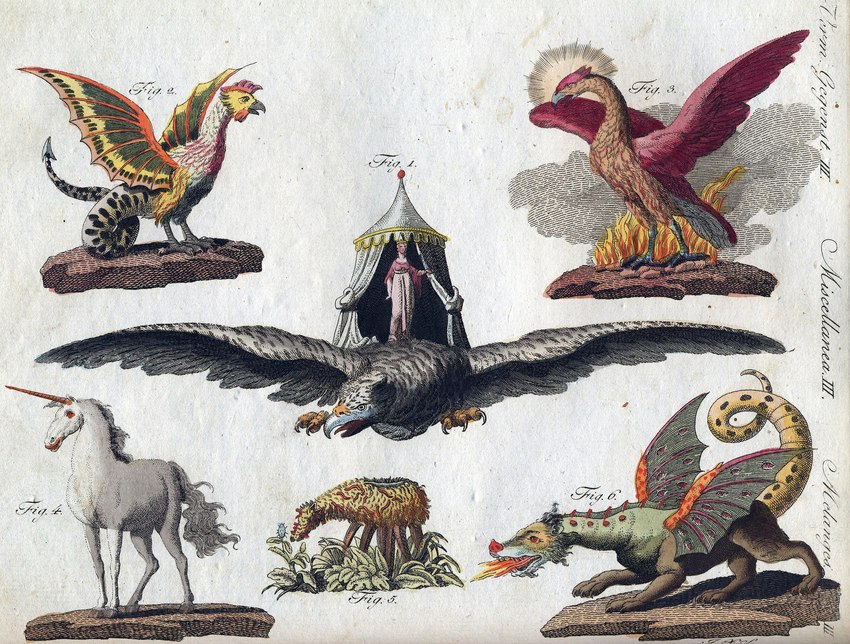 1_horn ambiguous_gender beak biped claws feathered_wings feathers feral fire hooves horn membrane_(anatomy) membranous_wings paws plant quadruped tail wings friedrich_justin_bertuch bilderbuch_fur_kinder european_mythology greek_mythology middle_eastern_mythology mythology public_domain avian dragon elemental_creature equid equine flora_fauna mammal mythological_avian mythological_basilisk mythological_bird mythological_creature mythological_equine mythological_firebird mythological_scalie phoenix roc scalie unicorn vegetable_lamb western_dragon 1801 19th_century ancient_art hi_res traditional_media_(artwork)