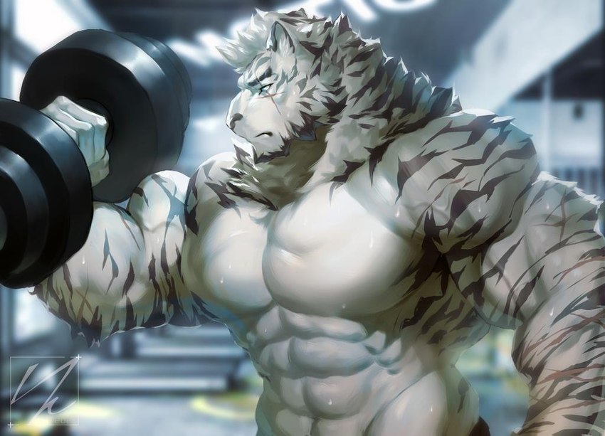 abs anthro biceps dumbbell exercise eye_scar facial_scar fur gym looking_at_self male multiple_scars muscular muscular_male pecs scar side_view solo striped_body stripes weightlifting weights white_body white_fur workout shadowwow arknights hypergryph studio_montagne mountain_(arknights) felid mammal pantherine tiger