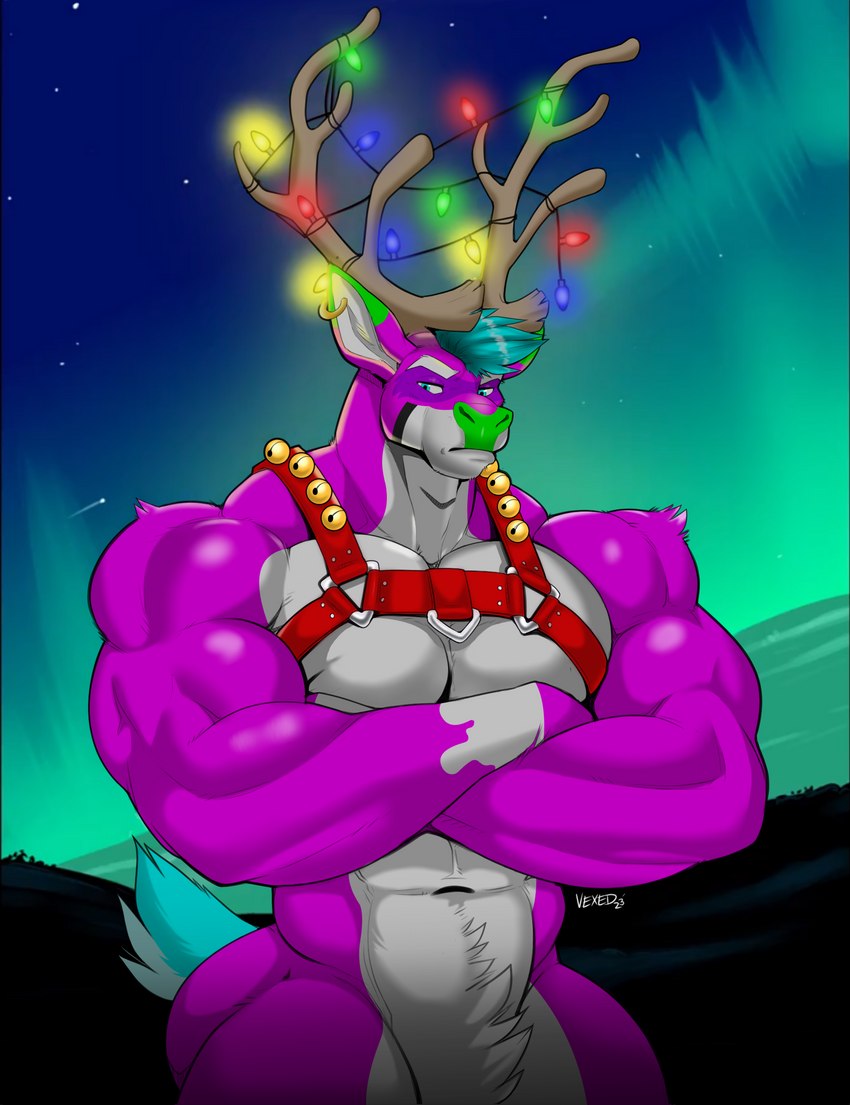 abs anthro antlers aurora_(phenomenon) bell bell_harness biceps blue_eyes blue_hair blue_tail chest_harness christmas_lights crossed_arms ear_piercing ear_ring eyebrows fuchsia_fur fur green_nose hair harness holidays horn jingle_bell jingle_bell_harness male mask muscular muscular_anthro muscular_male night nude outside pecs piercing purple_body purple_fur red_harness ring_piercing serious_face sky solo standing star starry_sky tail white_body white_eyebrows white_fur winter rooccoon_(artist) vexedlupine christmas rooccoon cervine deer mammal new_world_deer reindeer absurd_res digital_media_(artwork) hi_res