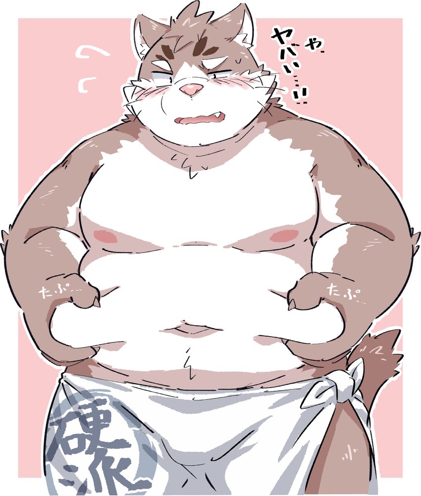 anthro belly big_belly blush bulge humanoid_hands kemono male moobs navel nipples overweight overweight_anthro overweight_male solo text towel ptcmtr lifewonders tokyo_afterschool_summoners sitri_(tas) domestic_cat felid feline felis mammal 2021 hi_res japanese_text