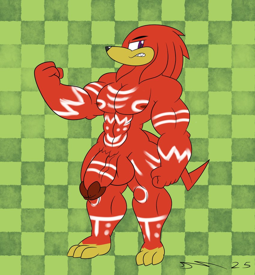 anthro genitals hair male male_anthro nude_male penis purple_eyes red_body red_hair solo dirtymac mac-daddy sega sonic_the_hedgehog_(series) knuckles_the_echidna echidna mammal monotreme absurd_res hi_res