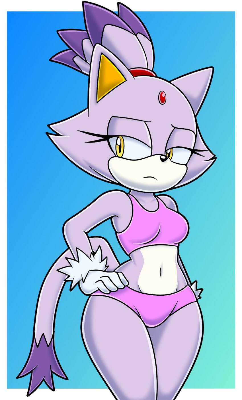 blaze the cat (sonic the hedgehog (series) and etc) created by sonicguru