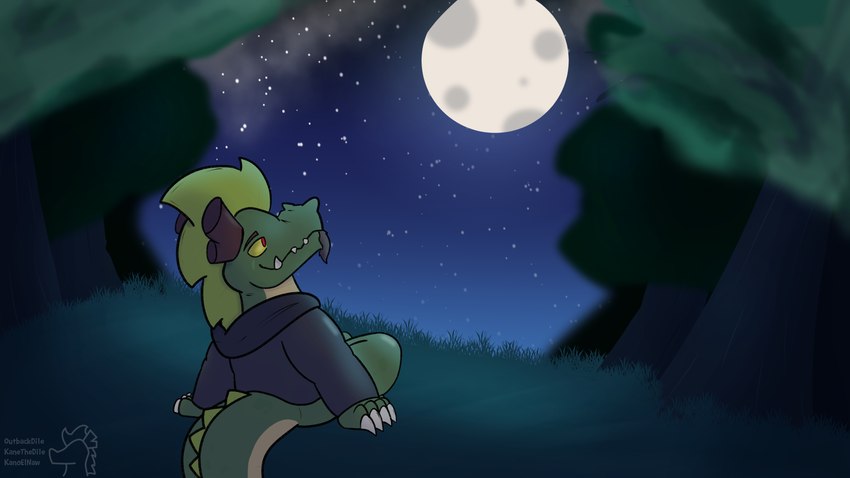 clothing detailed_background hoodie moon night outside peaceful plant sky smile solo star topwear tree kanethedile outbackdile mythology crocodile crocodilian dragon mythological_creature mythological_scalie reptile scalie absurd_res digital_media_(artwork) digital_painting_(artwork) hi_res