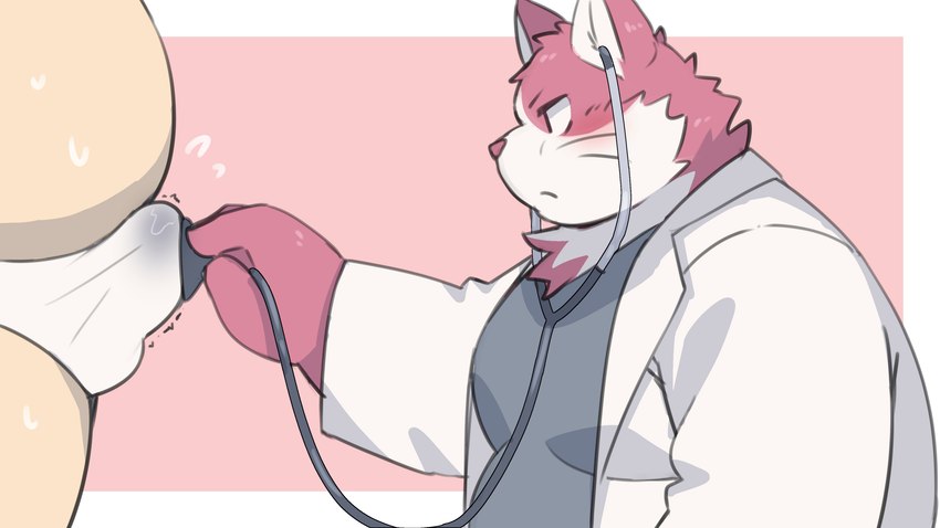 anthro blush bodily_fluids bulge clothing doctor duo kemono male male/male medical_instrument overweight overweight_male scientific_instrument shirt simple_background sweat topwear underwear ptcmtr tamacolle bungo_(tamacolle) canid canine canis domestic_cat domestic_dog felid feline felis mammal 16:9 2024 hi_res widescreen