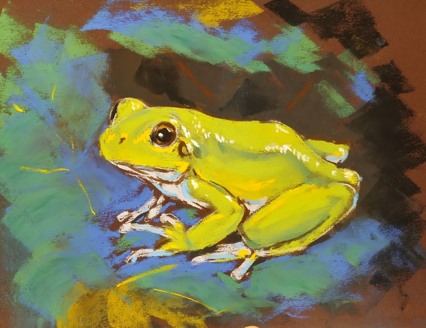 abstract_background ambiguous_gender feral green_body multicolored_body realistic simple_background sitting solo two_tone_body white_body gekasso amphibian frog 2022 hi_res pastel_(artwork) traditional_media_(artwork)