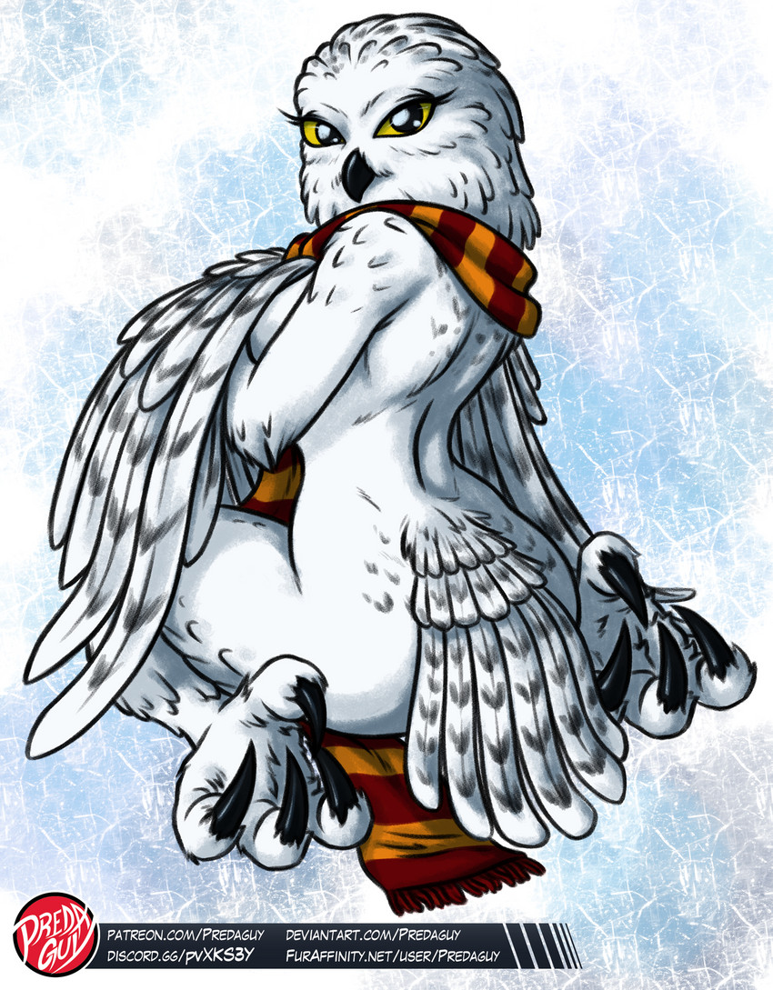 abstract_background anthro avian_feet breasts butt claws clothed clothing covering covering_breasts feet female gryffindor kneeling logo looking_at_viewer looking_back looking_back_at_viewer non-mammal_breasts nude partially_clothed scarf solo talons toe_claws toes predaguy harry_potter_(series) hedwig_(harry_potter) avian bird horned_owl owl snowy_owl true_owl artist_logo hi_res sketch