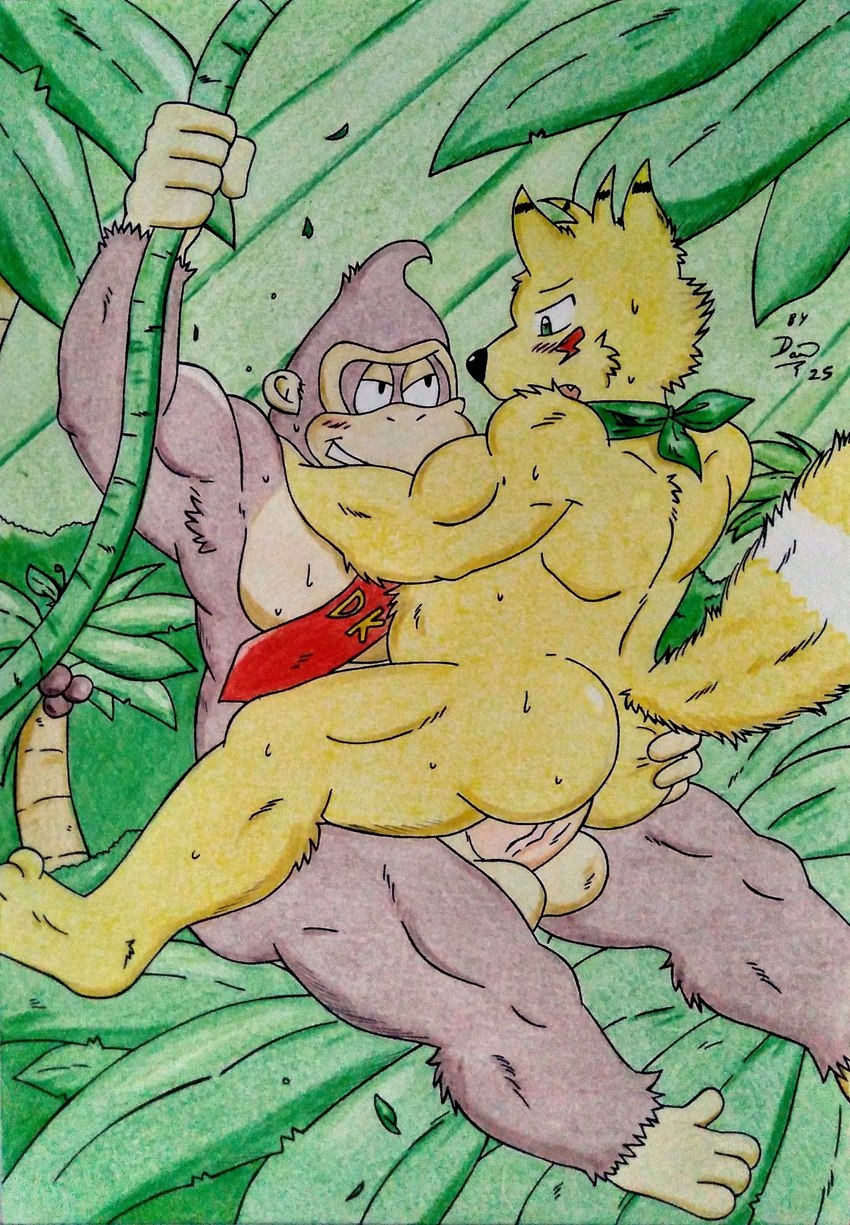 5_fingers anal anal_penetration anthro armpit_tuft balls barazoku bedroom_eyes belly biceps big_muscles big_pecs blush blush_lines bodily_fluids brown_body brown_fur butt duo facing_each_other fingers fluffy fluffy_tail forest fur genitals green_eyes green_kerchief holding_butt jungle jungle_background kerchief long_tail male male/male manly monkey_feet mostly_nude multicolored_body multicolored_fur musclegut muscular muscular_anthro muscular_arms muscular_legs muscular_male narrowed_eyes nature nature_background neckerchief necktie necktie_only neckwear nude palm_tree pecs penetration penis plant red_necktie seductive sex sweat sweatdrop sweaty_butt sweaty_chest swing swinging tail thick_penis tree tuft vein veiny_penis vines yellow_body yellow_fur dashthefox donkey_kong_(series) nintendo dashfox donkey_kong_(character) ape canid canine fox gorilla haplorhine mammal primate 2025 absurd_res hi_res traditional_media_(artwork)