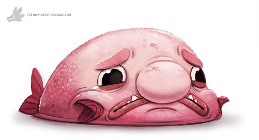 ambiguous_gender black_eyes feral pink_body pink_scales sad scales simple_background solo teeth text white_background piper_thibodeau blobfish fish marine scorpaeniform sculpin 2015 digital_media_(artwork) digital_painting_(artwork) painting_(artwork) url