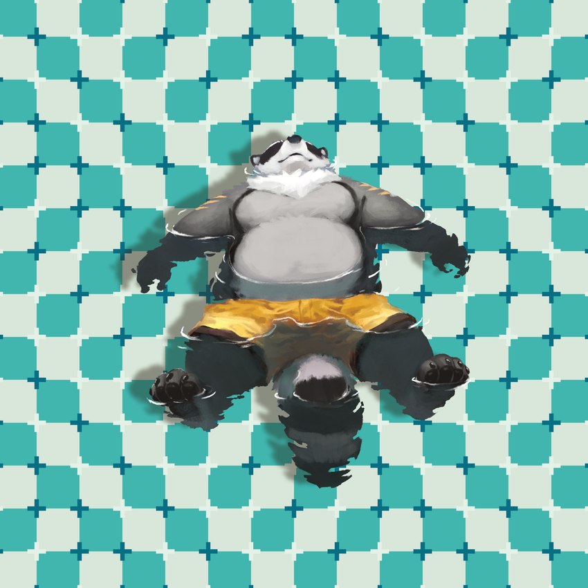 anthro belly big_belly black_nose bottomwear clothing grey_body kemono lying male moobs optical_illusion overweight overweight_male shorts solo swimwear water racoonwolf mammal procyonid raccoon 2024 absurd_res hi_res