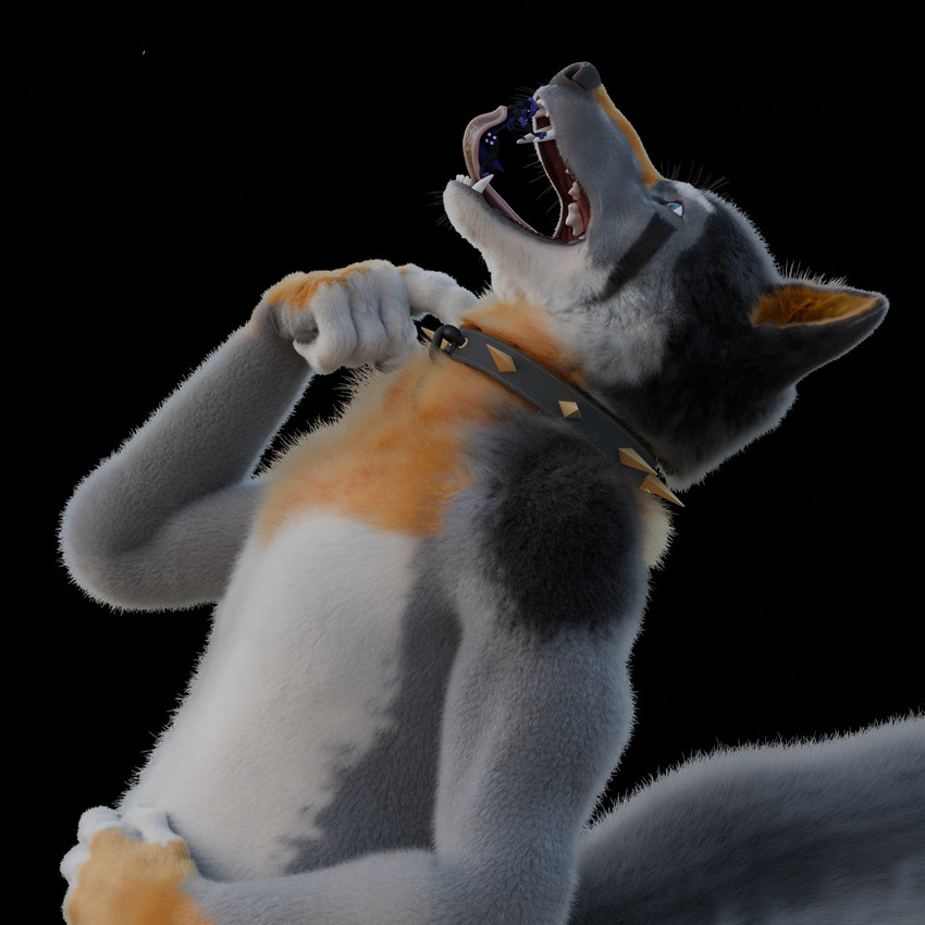 anthro black_background collar duo extreme_size_difference fangs fur macro male male/male mouth_shot open_mouth oral_vore purple_body purple_fur simple_background size_difference soft_vore teeth tongue tongue_out vore vore_tease arlo_(arlowuff) kitsunaki canid canine canis domestic_dog fox mammal wolf 1:1 2025 3d_(artwork) blender_(artwork) digital_media_(artwork) half-length_portrait hi_res portrait