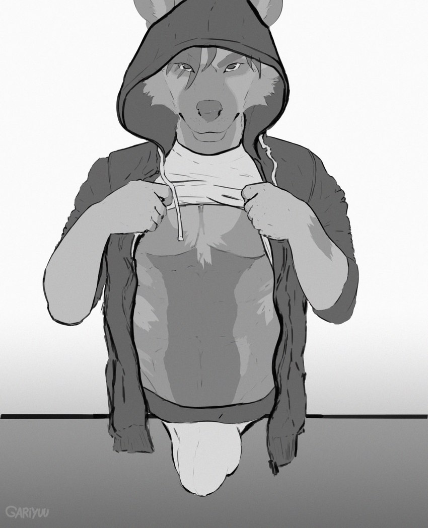 anthro athletic biped bulge clothing detailed_bulge genital_outline hoodie jockstrap looking_at_viewer male male_anthro penis_outline presenting presenting_bulge simple_background solo topwear underwear gariyuu_(artist) jackson_(tndoggo) african_wild_dog canid canine mammal 2022 greyscale hi_res monochrome