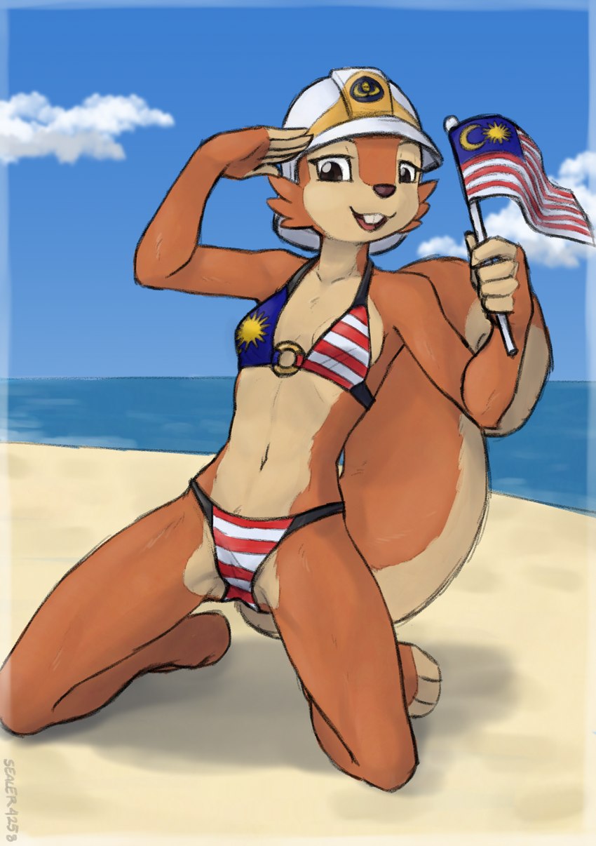 anthro armor beach bikini breasts brown_body brown_fur buckteeth clothing exposure_variation female flag flag_(object) flag_bikini fluffy fluffy_tail front_view fur gesture headgear helmet holding_flag holding_object kneeling malaysian malaysian_flag malaysian_flag_bikini mascot one_eye_closed open_mouth open_smile outside salute seaside smile solo swimwear tail teeth two-piece_swimsuit sealer4258 jabatan_bomba_dan_penyelamat_malaysia edie_(bomba) mammal rodent sciurid tree_squirrel 2023 full-length_portrait hi_res portrait