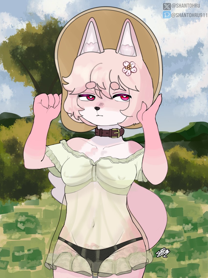 anthro babydoll belt_collar clothed clothing collar female forest fur hair hat headgear headwear lingerie nightgown pink_body pink_fox pink_fur pink_hair plant shanty_artist skinny skinny_female sky solo summer summer_hat tail tree shantohru shanty canid canine fox mammal hi_res