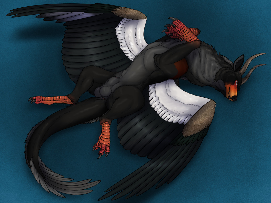 animal_genitalia anus balls feathered_wings feathers feral fully_sheathed fur genitals groin inviting male penis presenting sheath solo spread_wings wings noelanieternal mythology isumar dragon furred_dragon furred_scalie mythological_creature mythological_scalie scalie 4:3 hi_res