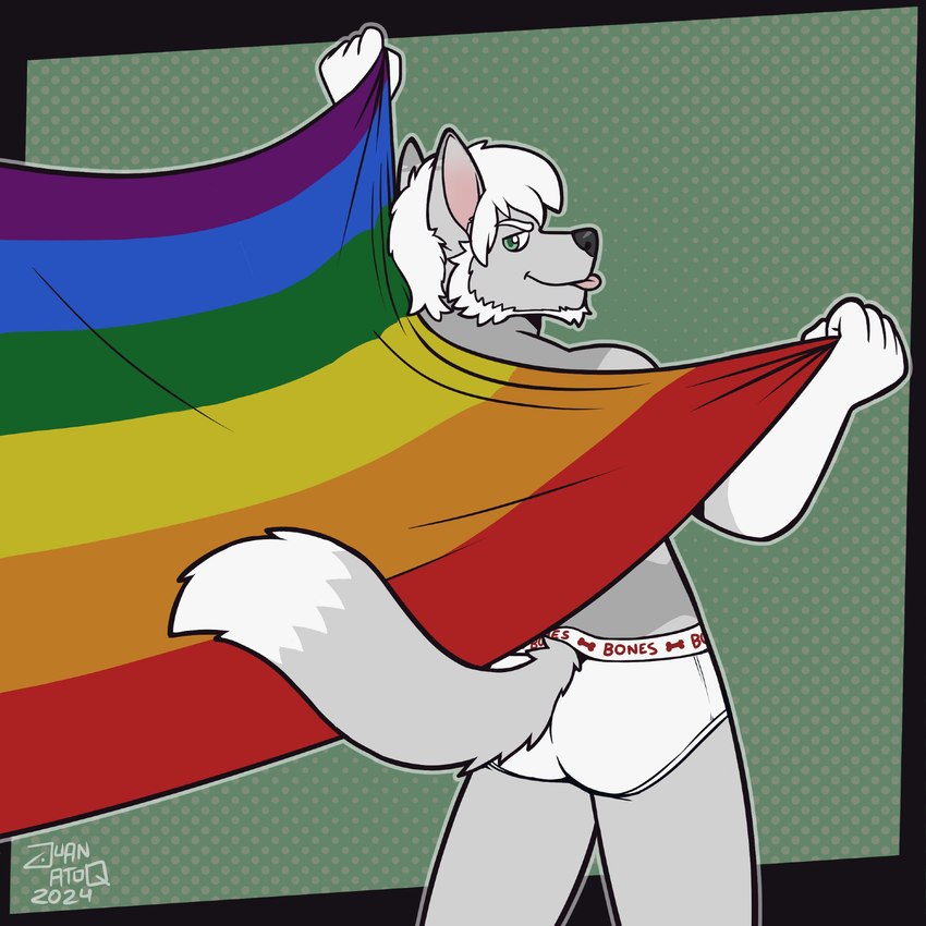 anthro beard black_nose briefs briefs_only clothed clothing detailed_background facial_hair flag flag_(object) fur green_background green_eyes grey_body grey_fur hair holding_flag holding_object lgbt_pride male monotone_briefs monotone_clothing monotone_underwear pink_tongue pride_colors sideburns simple_background solo tighty_whities tongue tongue_out topless underwear underwear_only white_body white_briefs white_clothing white_fur white_hair white_underwear juan_atoq lgbt_pride_month canid canine mammal 1:1 2024 hi_res signature