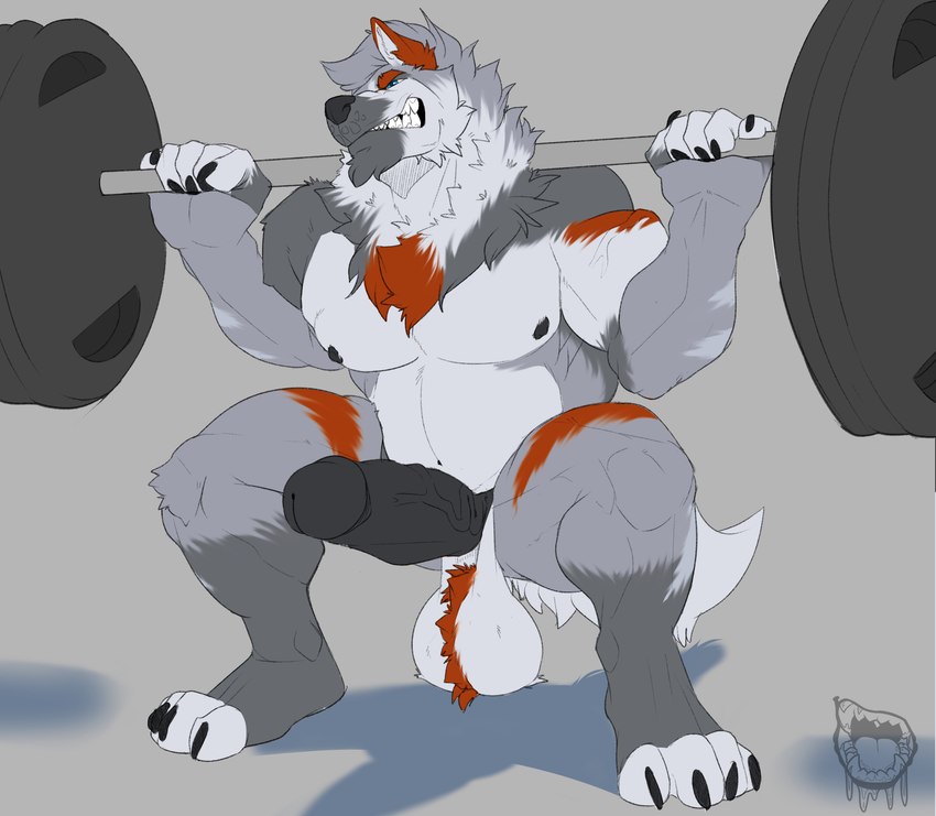 anthro ball_tuft balls barbell barbell_squats biceps big_balls black_nipples black_penis blue_eyes claws crouching erection exercise feet finger_claws fingerless_(marking) fingerless_gloves_(marking) fur genitals gloves_(marking) grey_body grey_fur humanoid_genitalia humanoid_penis leg_markings logo male markings muscular muscular_anthro muscular_male nipples nude orange_body orange_fur orange_stripes pecs penis saggy_balls serratus socks_(marking) solo stripes teeth toe_claws toeless_(marking) toeless_socks_(marking) tuft vein weightlifting weights workout kyojufolf strom_(skyshiemi) canid canine canis mammal wolf 2023 absurd_res artist_logo hi_res