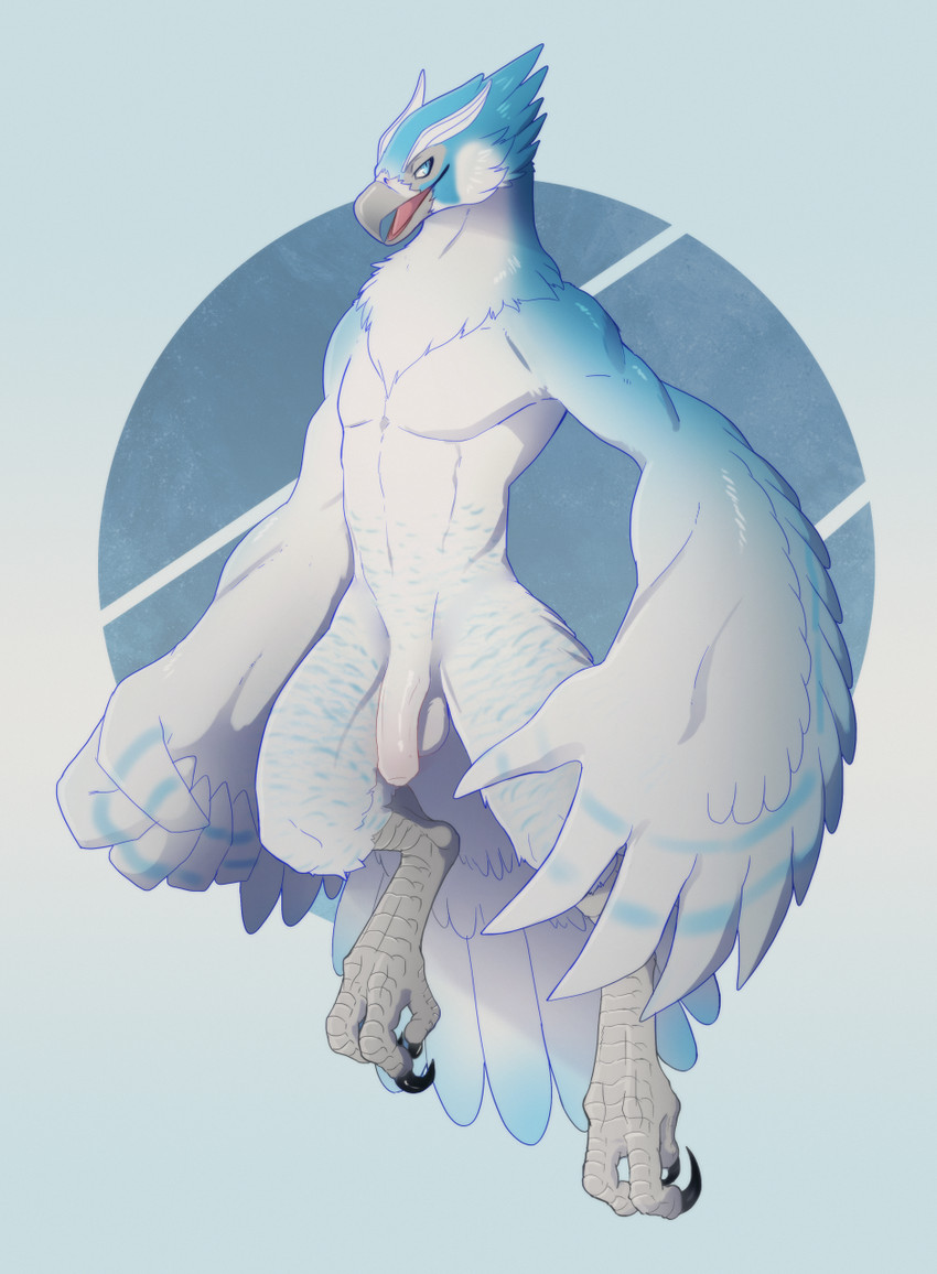 anthro avian_feet balls beak blue_body blue_feathers feather_hands feathers feet flaccid foreskin genitals humanoid_genitalia humanoid_penis male non-mammal_balls nude open_mouth penis solo talons toes white_body white_feathers wings essence_of_rapture nintendo the_legend_of_zelda fan_character avian bird rito hi_res