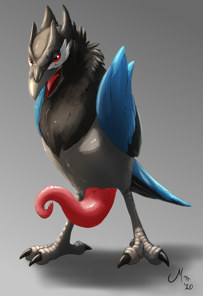 beak black_body black_feathers blue_body blue_feathers claws feathers feet feral genitals gradient_background male multicolored_body multicolored_feathers open_beak open_mouth penis pink_penis prehensile_penis red_eyes simple_background solo tail tail_feathers talons tapering_penis toes tongue wings magpi nintendo pokemon avian bird corvid corvisquire generation_8_pokemon oscine passerine pokemon_(species) 2020 hi_res signature