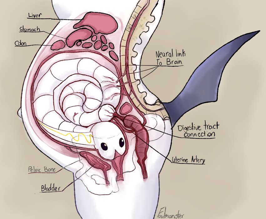 ambiguous_gender anatomy anatomy_reference anthro belly big_belly black_eyes black_tail bladder bone coiled_up creature_inside cross_section curled_up diagram duo endosoma female feral feral_prey fully_inside guts host information_label inside_uterus internal interspecies interspecies_pregnancy intestines liver nerves organs parasite pelvis pregnant safe_vore side_view simple_background solo_focus spinal_cord spine standing stomach_(organ) tail text unbirthing urethra uterus vaginal vore foulmonster fallout:_pca nintendo pokemon absol generation_3_pokemon generation_5_pokemon pokemon_(species) tynamo 2021 biological_illustration english_text flat_colors hi_res medical_illustration signature story story_in_description technical_illustration