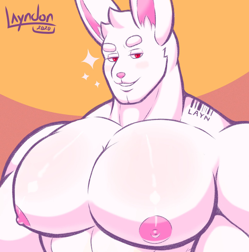 anthro big_pecs eyebrows fur glistening glistening_body glistening_skin male muscular muscular_anthro muscular_male nipples orange_background pecs pink_nipples red_eyes simple_background smile smirk solo sparkles tattoo thick_eyebrows white_body white_fur layndon layndon_(layndon) hare lagomorph leporid mammal rabbit half-length_portrait hi_res portrait shaded soft_shading