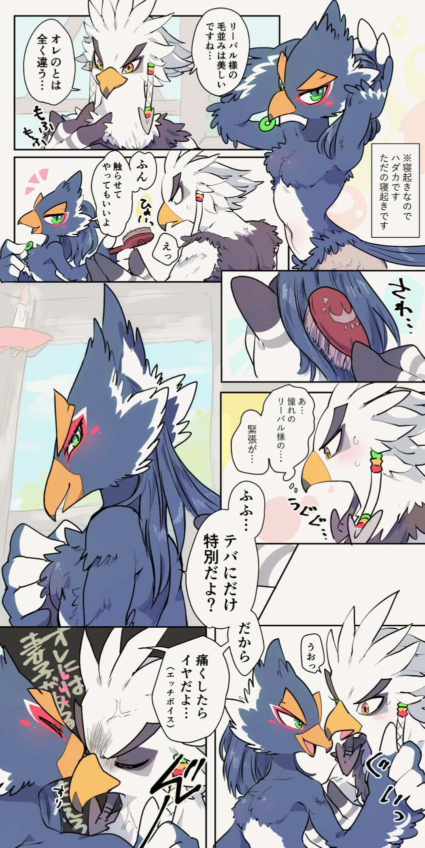 anthro blue_body blue_feathers brush brushing brushing_hair duo feathers hair heart_symbol kissing male male/male personal_grooming social_grooming styling_hair text white_body white_feathers popemadara breath_of_the_wild nintendo the_legend_of_zelda revali teba_(tloz) avian bird rito comic hi_res japanese_text translation_check translation_request