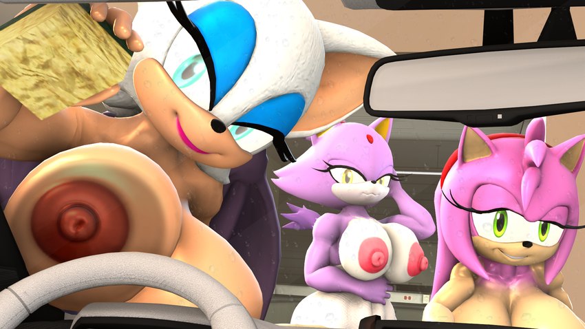 anthro bedroom_eyes big_breasts breasts car car_wash female female/female group half_naked half_naked_female inside_car inside_vehicle looking_at_viewer narrowed_eyes nipples seductive trio vehicle bluewyvern sega sonic_the_hedgehog_(series) amy_rose blaze_the_cat rouge_the_bat bat domestic_cat eulipotyphlan felid feline felis hedgehog mammal 16:9 3d_(artwork) digital_media_(artwork) hi_res widescreen