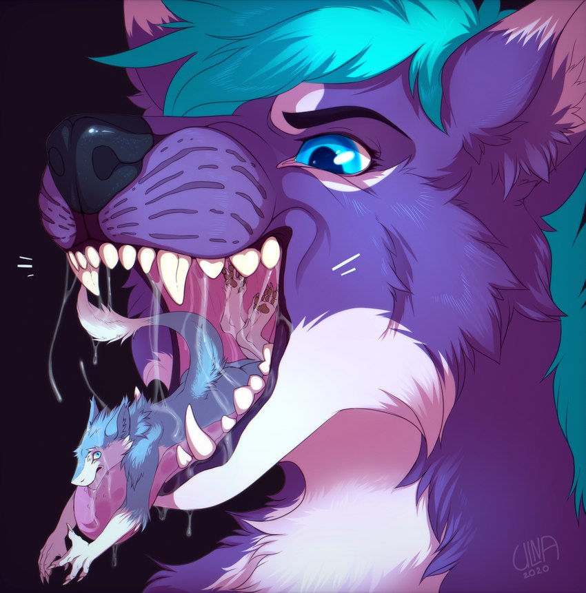 anthro black_nose blue_body blue_eyes blue_fur blue_hair bodily_fluids drooling duo extreme_size_difference fangs fur hair male male/male male_pred male_prey micro mouth_shot open_mouth oral_vore partially_inside purple_body purple_fur saliva saliva_string simple_background size_difference tail teeth tongue vore ulna_moon capes mox_(antillion123) canid canine fox mammal sergal absurd_res digital_media_(artwork) hi_res