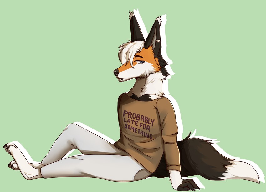 anthro clothing fluffy fluffy_tail fur hair looking_away male outline shirt sitting solo tail text text_on_clothing text_on_shirt text_on_topwear topwear runelocks canid canine fox mammal digital_media_(artwork) english_text hi_res