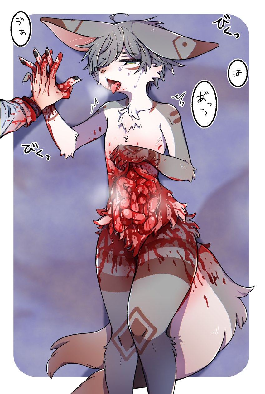 anthro blood blood_splatter bodily_fluids chest_tuft disembowelment duo fur fur_markings gore grey_hair guts hair hand_holding intestines male markings offscreen_character organs snuff sweat tears text tongue tongue_out tuft vivisection itari merou_(itari) zeso_(itari) domestic_cat elf felid feline felis humanoid mammal absurd_res hi_res japanese_text