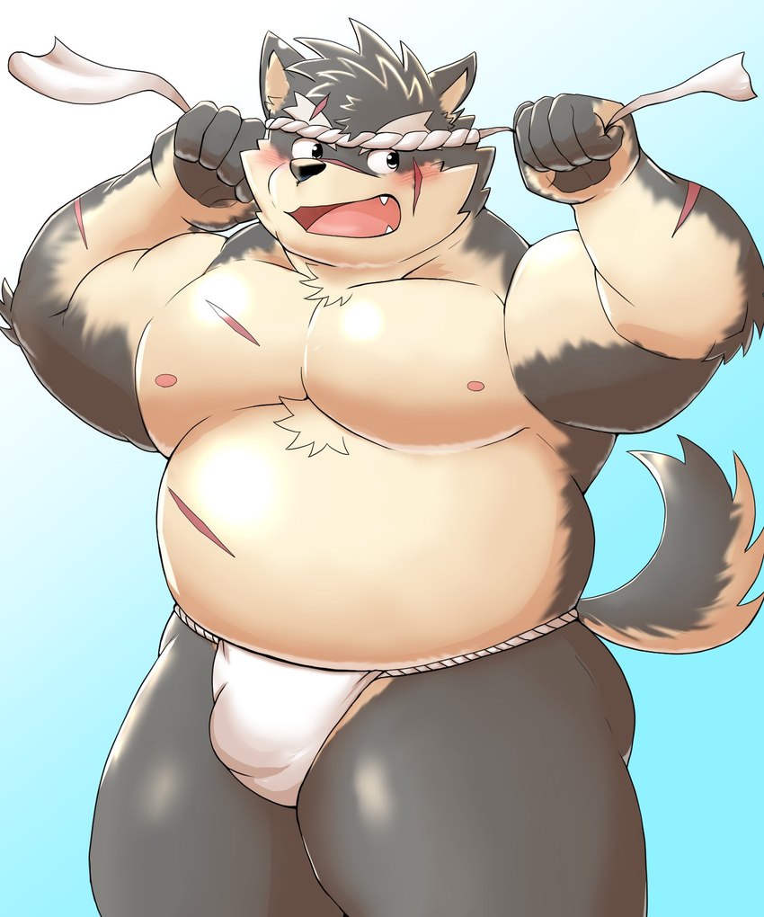 accessory anthro asian_clothing belly blush bulge clothed clothing east_asian_clothing facial_scar fundoshi fundoshi_only fur grey_body grey_fur headband japanese_clothing male scar solo topless underwear underwear_only mohumohudansi lifewonders tokyo_afterschool_summoners moritaka_(tas) canid canine canis domestic_dog mammal 5:6 hi_res