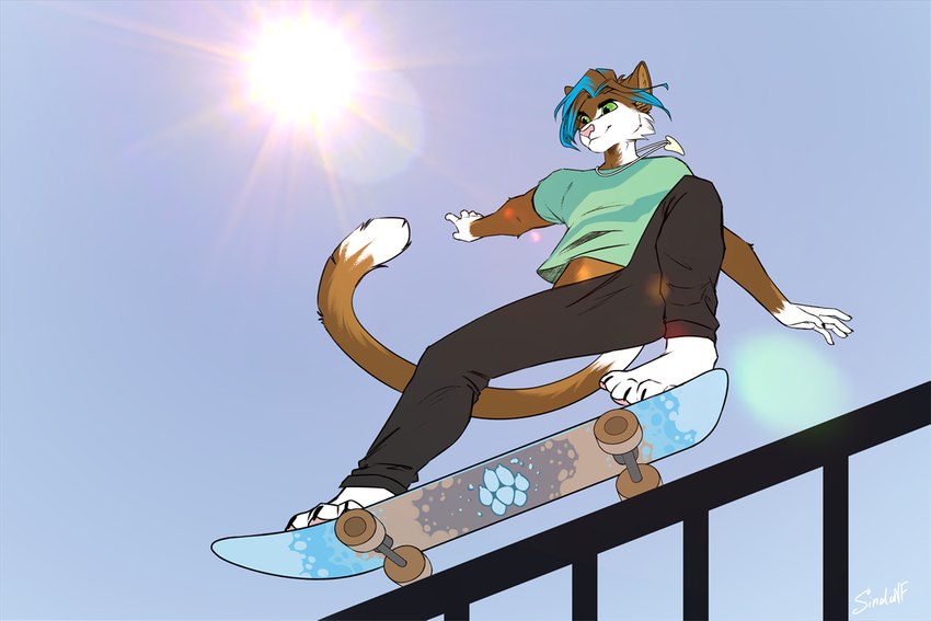 4_toes 5_fingers anthro brown_body brown_fur clothed clothing day feet fingers fur male outside skateboard sky smile solo sun tail toes vehicle white_body white_fur sinalanf domestic_cat felid feline felis mammal 2023 3:2 digital_media_(artwork)