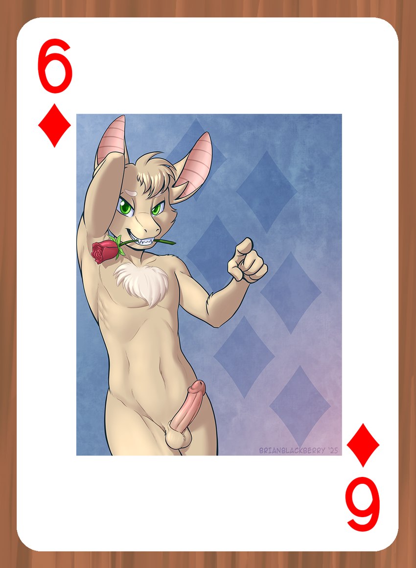 anthro balls bat_ears card chest_tuft erection flower flower_in_mouth fur genitals green_eyes humanoid_genitalia humanoid_penis looking_at_viewer male nude nude_anthro nude_male penis plant playing_card rose_(flower) rose_in_mouth simple_background smile solo tan_body tan_fur teeth tuft brian_mcpherson turo_of_akesh bat desert_bat mammal wingless_bat 2025 digital_media_(artwork) hi_res