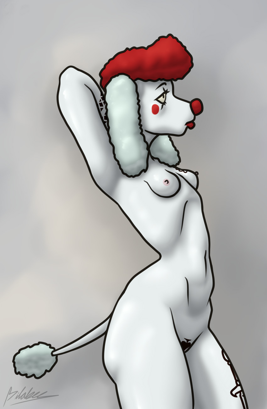 anthro arms_above_head biped breasts clown curvy_figure eyebrows eyelashes female fur hair lipstick makeup navel nipples nude pose red_hair simple_background small_breasts solo tattoo thick_thighs white_body white_fur bilabee bimbo_(bilabee) canid canine canis domestic_dog mammal poodle absurd_res digital_media_(artwork) hi_res pinup