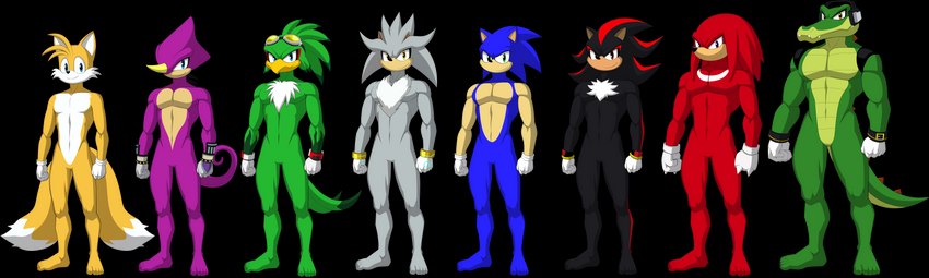 5_toes anthro barefoot clothing feet gloves group handwear humanoid_feet male muscular plantigrade simple_background toes transparent_background darkshiner8 sparksstars sega sonic_riders sonic_the_hedgehog_(series) espio_the_chameleon jet_the_hawk knuckles_the_echidna miles_prower shadow_the_hedgehog silver_the_hedgehog sonic_the_hedgehog vector_the_crocodile accipitrid accipitriform avian bird canid canine chameleon crocodile crocodilian echidna eulipotyphlan fox hedgehog lizard mammal monotreme reptile scalie absurd_res alpha_channel hi_res model_sheet