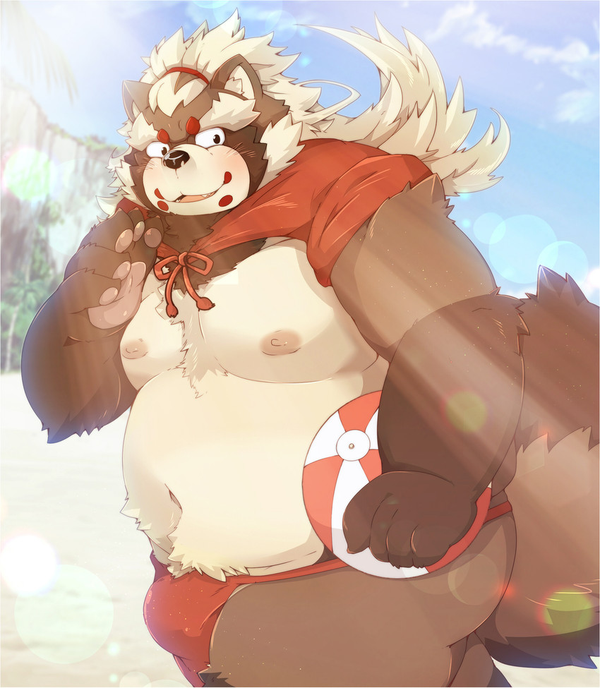 anthro asian_clothing beach belly blush brown_body brown_fur bulge clothing east_asian_clothing fundoshi fur humanoid_hands japanese_clothing kemono male moobs navel nipples outside overweight overweight_anthro overweight_male seaside solo underwear tsurugi lifewonders tokyo_afterschool_summoners goemon_(tas) canid canine mammal raccoon_dog tanuki 2020 hi_res