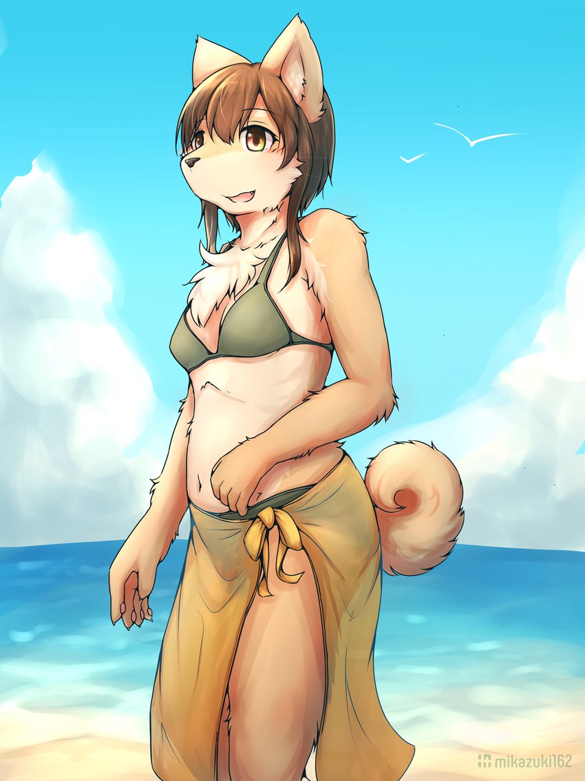 anthro beach breasts brown_body brown_fur brown_hair chest_tuft cloud cute_fangs day fangs female fingerpads fur green_bikini_bottom green_bikini_top hair navel open_mouth outside pawpads sarong seaside smile solo teeth tuft mikazuki162 canid canine canis domestic_dog mammal 2022 absurd_res digital_media_(artwork) hi_res