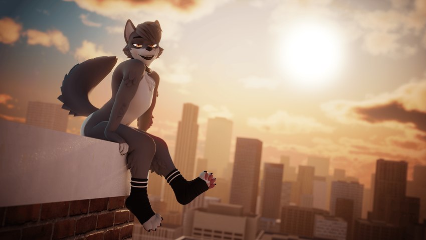 anthro city city_background cityscape clothing footwear fur hair leg_markings looking_at_viewer male markings sitting sitting_on_building skyline socks socks_(marking) solo tail zoidrawzaton canid canine canis mammal wolf 16:9 3d_(artwork) 4k absurd_res digital_media_(artwork) hi_res widescreen