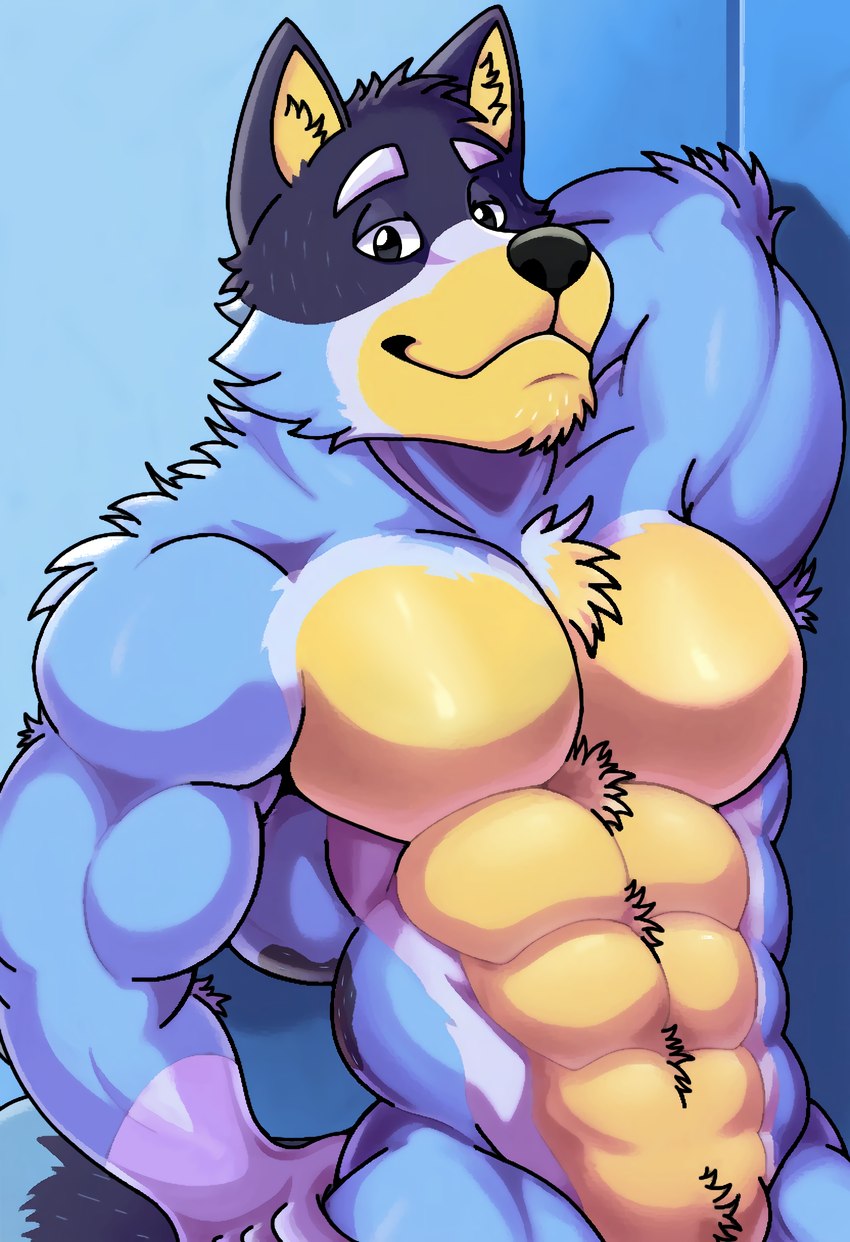 abs anthro arm_tuft armpit_hair bedroom_eyes belly belly_tuft biceps blue_body blue_eyebrows blue_fur body_hair chest_tuft chin_tuft elbow_tuft eyebrows facial_tuft fur hand_behind_head hand_on_leg hand_on_thigh head_tuft inner_ear_fluff looking_at_viewer male multicolored_body multicolored_fur muscular muscular_anthro muscular_male narrowed_eyes neck_tuft nude organs pecs seductive sensual shoulder_tuft simple_background smile solo standing stomach tail tan_belly tan_face tan_inner_ear tuft rjquaty bluey_(series) bandit_heeler australian_cattle_dog canid canine canis cattledog domestic_dog herding_dog mammal pastoral_dog absurd_res hi_res