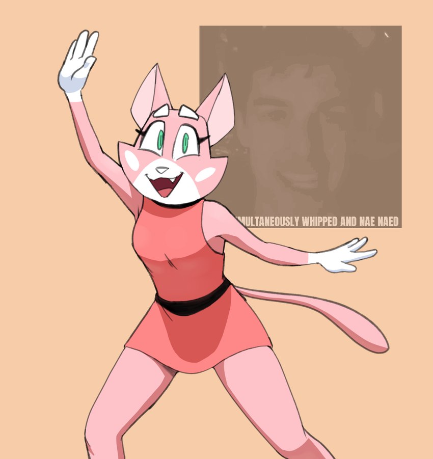 anthro belt clothing collar dancing dress eyebrows female fur green_eyes looking_at_viewer pink_body pink_ears pink_fur pink_tail simple_background solo tail text white_eyebrows white_hands white_nose hitsuji nae_nae_dance super_planet_dolan matpat shima_luan domestic_cat felid feline felis mammal english_text hi_res