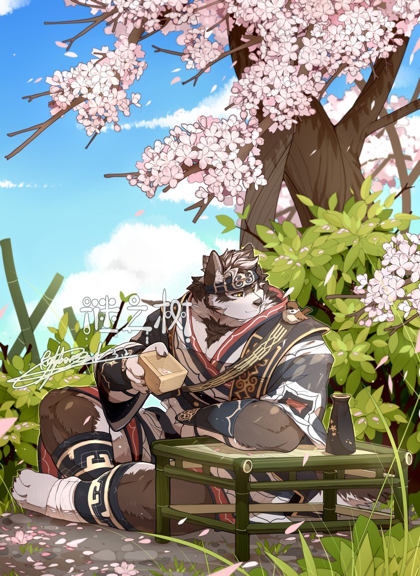 accessory alcohol anthro asian_clothing bamboo beverage cherry cherry_blossom cherry_tree clothing east_asian_clothing flower food fruit fruit_tree fur headband japanese_clothing male muscular muscular_anthro muscular_male plant prunus_(flower) sake sitting sitting_on_ground solo tree white_body white_fur wood rubberbark lifewonders tokyo_afterschool_summoners horkeu_kamui_(tas) canid canine canis mammal wolf 2021 absurd_res digital_drawing_(artwork) digital_media_(artwork) hi_res