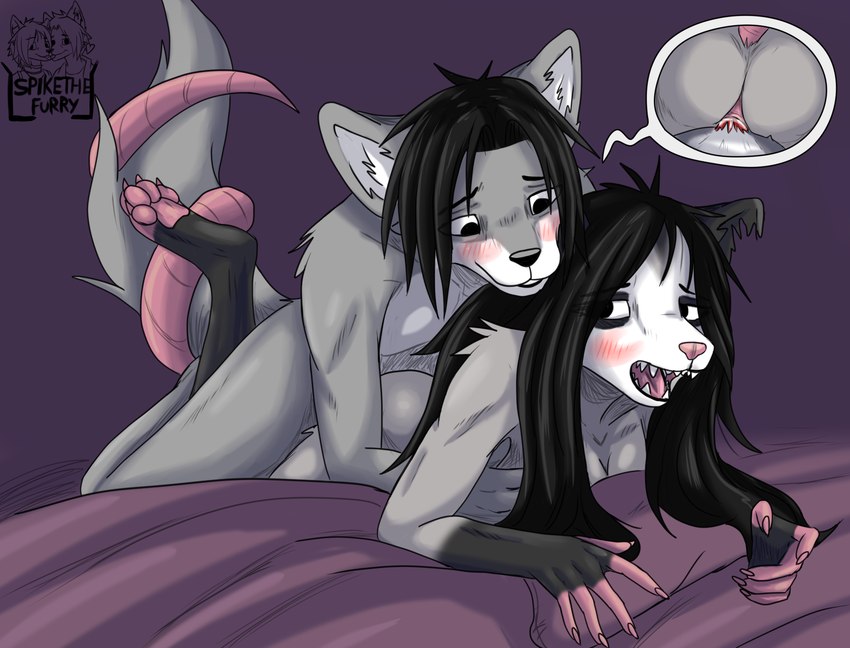 anthro anthro_on_anthro anthro_penetrated anthro_penetrating anthro_penetrating_anthro bed black_body black_eyes black_fur black_hair black_nose bodily_fluids breasts convenient_censorship cum doggystyle duo erection female female_penetrated from_behind_position fur furniture genital_fluids genitals grey_body grey_fur hair hair_covering_breasts humanoid_genitalia humanoid_penis interspecies male male/female male_penetrating male_penetrating_female nude on_bed open_mouth penetration penis pink_nose pussy red_penis sex tail tail_coil vaginal vaginal_penetration white_body white_fur spike_the_furry kia_(spikethefurry) spike_(spikethefurry) american_opossum canid canine canis mammal marsupial virginia_opossum wolf digital_media_(artwork) hi_res