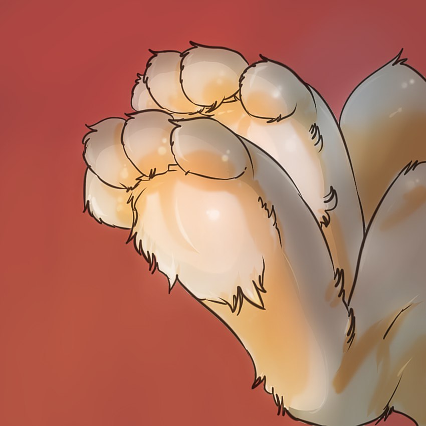 ambiguous_gender feet foot_focus foot_shot fur glistening glistening_body grey_body grey_fur hindpaw paws raised_paw red_background simple_background solo tufted_fur pawsitively lagomorph leporid mammal rabbit 1:1