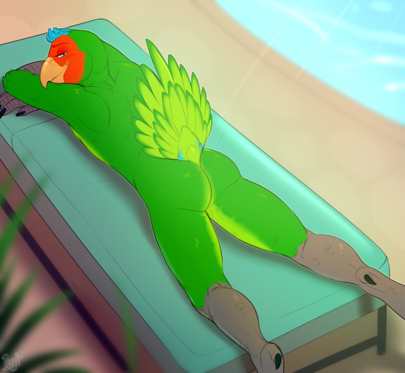 anthro beak butt feathers looking_back lying male nude on_front outside seductive smile solo sunbathing pig_(artist) vareoth avian bird parrot