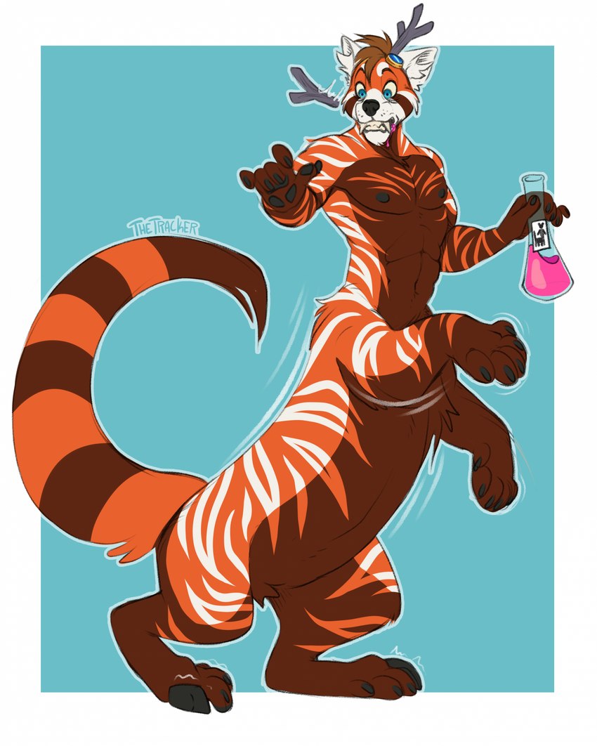 antlers big_fangs fangs fur horn male potion potion_bottle potion_label shocked solo striped_body striped_fur stripes taur_transformation teeth transformation transformation_by_substance transformation_potion knottytracker ailus_tochar ailurid gulonine hybrid mammal marten mustelid musteline pine_marten red_panda taur hi_res