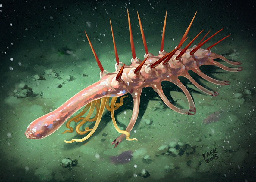 ambiguous_gender feral multi_leg multi_limb pink_body solo spikes spikes_(anatomy) spines tentacles underwater water kaek hallucigenia lobopod marine worm xenusiid 2015 digital_drawing_(artwork) digital_media_(artwork)