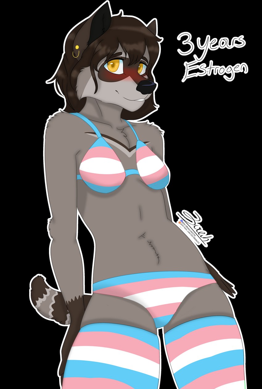 anthro bikini blush brown_body brown_fur brown_hair brown_markings clothed clothing ear_piercing ear_ring embarrassed estrogen female footwear fur grey_body grey_fur hair hormone_replacement_therapy legwear lgbt_pride looking_at_viewer markings navel piercing pride_colors ring_piercing simple_background socks solo standing swimwear text thigh_highs thigh_socks transgender_pride_colors transparent_background two-piece_swimsuit white_body white_fur white_markings yellow_eyes zer0rebel4 discord_(app) patreon may_(zer0rebel4) mammal procyonid raccoon 2023 absurd_res alpha_channel digital_media_(artwork) english_text hi_res url gynomorph_(lore) trans_(lore) trans_woman_(lore)