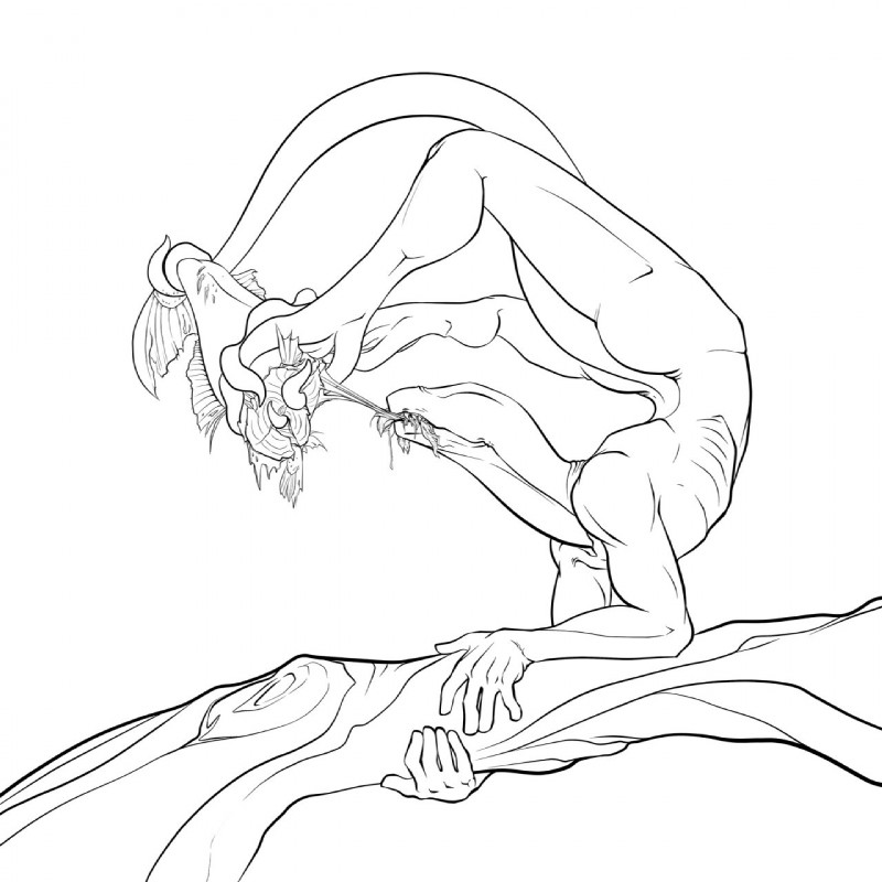 5_fingers ambiguous_gender anthro athletic athletic_ambiguous athletic_anthro barefoot biped branch butt decapitation eating eyeless feet feral fin fingers flexible food gore handstand hard_vore holding_food holding_object humanoid_hands in_tree long_tail nude on_branch oral_vore plant prehensile_feet prehensile_tail ribs sharp_teeth side_view simple_background solo tail tail_fin teeth tentacles toes torn_fin tree vore white_background some_leech annelid fish leech marine salmon salmonid_(fish) 1:1 2014 black_and_white digital_media_(artwork) full-length_portrait hi_res line_art monochrome portrait