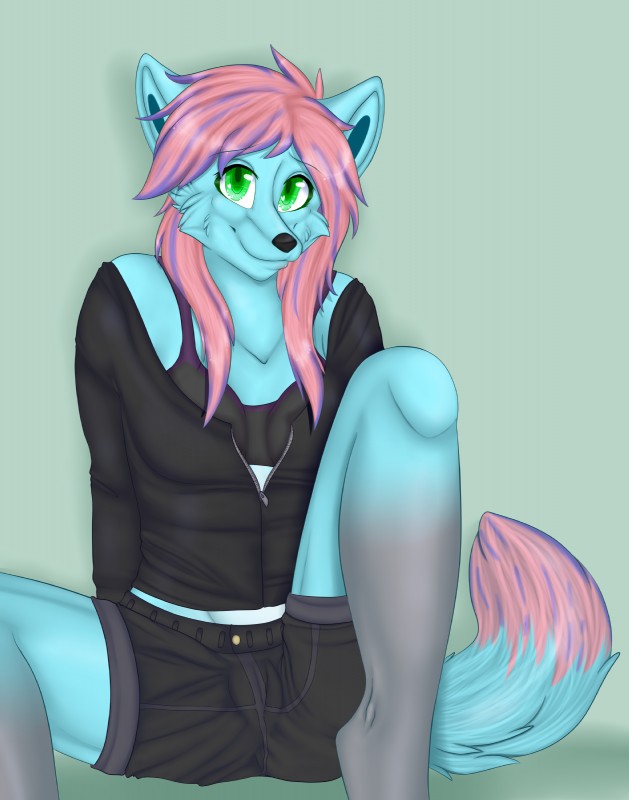 anthro black_nose blue_body blue_fur bottomwear bra clothed clothing female fluffy fluffy_tail fur green_eyes hair jacket long_hair looking_at_viewer pink_hair shorts simple_background smile solo spread_legs spreading tail topwear underwear faliet canid canine mammal absurd_res digital_media_(artwork) hi_res